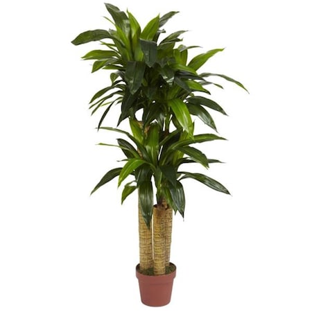 Nearly Natural Silk 4 ft. Corn Stalk Dracaena Silk Plant - Real Touch - 6648
